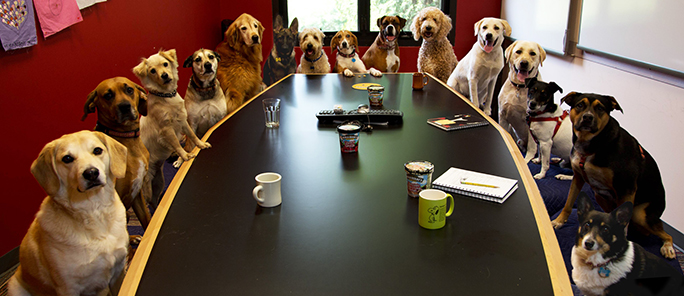 Meeting picture