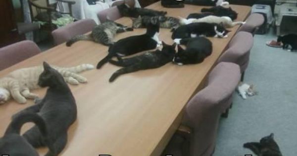 Other meeting picture